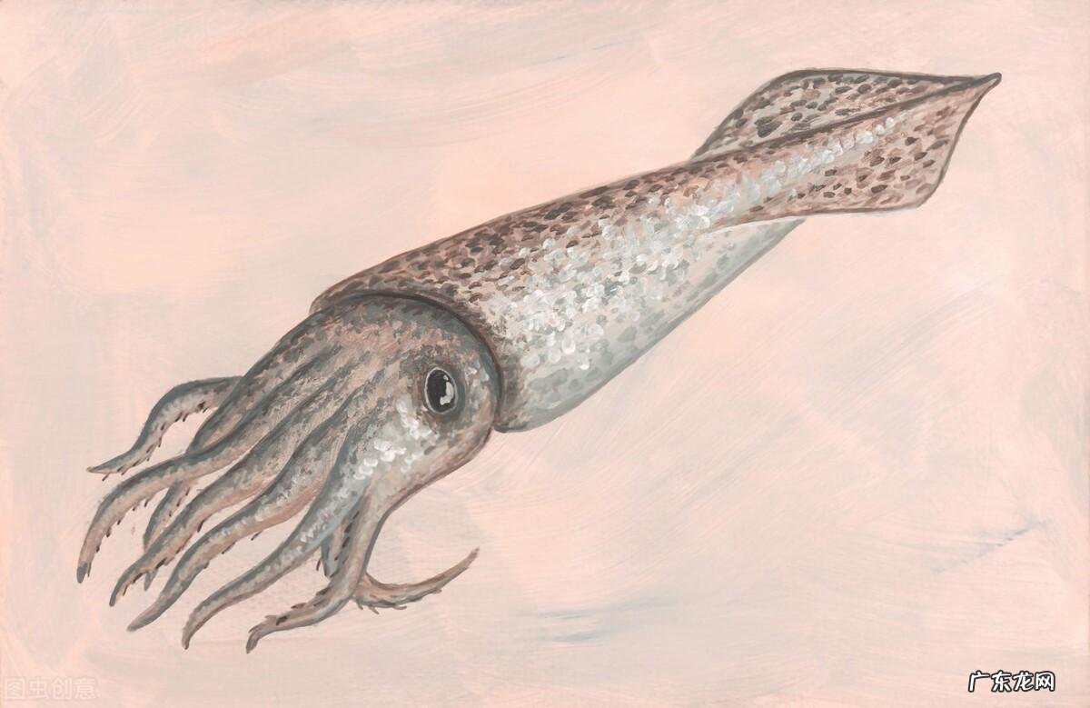 有趣的生活冷知识 你不知道的科学冷知识