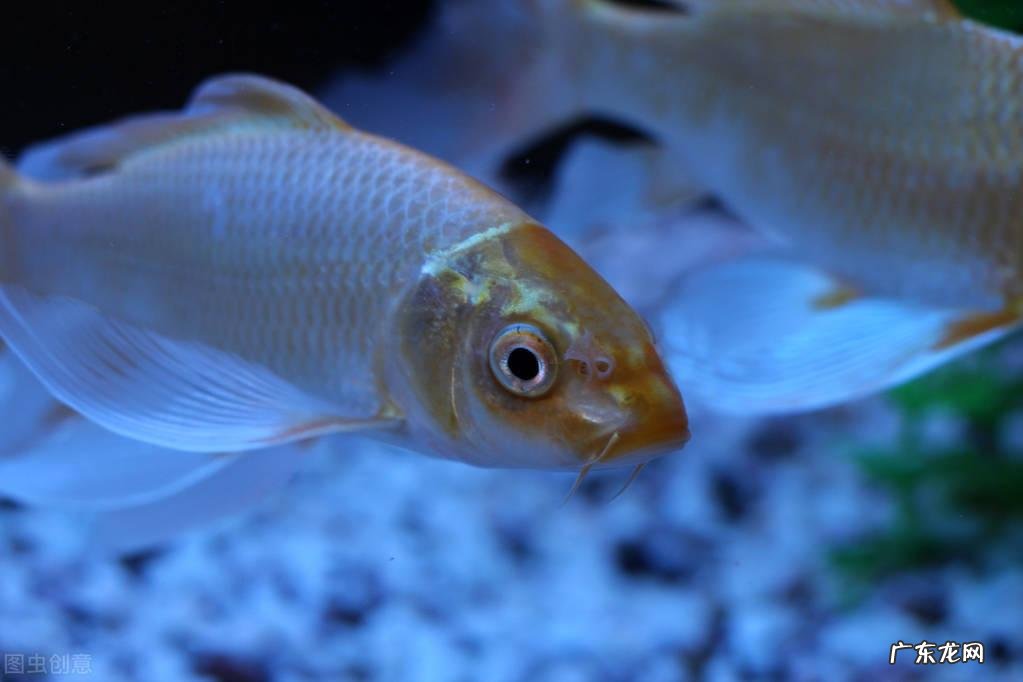 有趣的生活冷知识 你不知道的科学冷知识