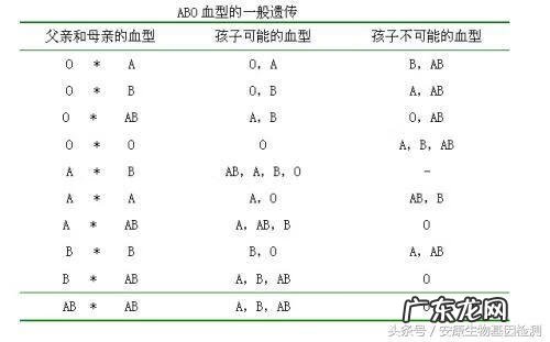 血型与亲子鉴定图 血型与亲子鉴定关系