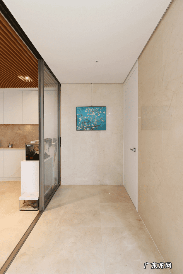 进门玄关风水 玻璃通透式玄关