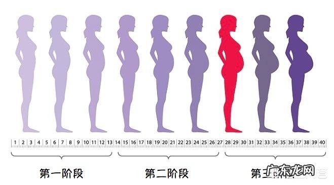 怀孕到分娩要经过几个环节？
