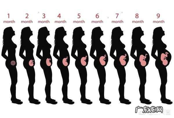 怀孕到分娩要经过几个环节？