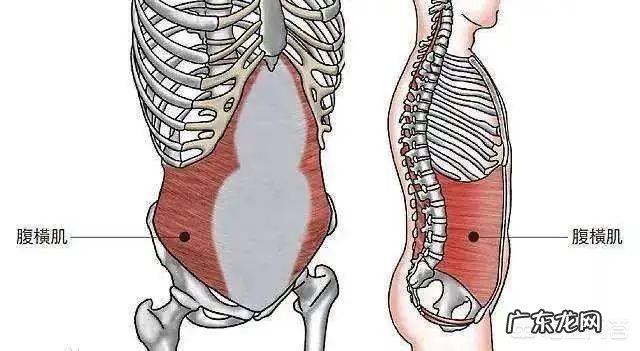 如何才能瘦腰？