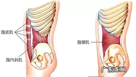 如何才能瘦腰？
