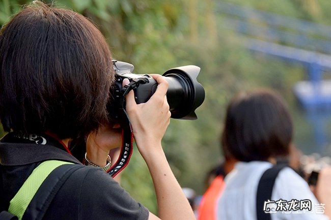 如何从零基础学会摄影？