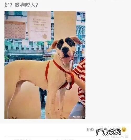 向氏儿媳郭碧婷深夜发文“醒悟的那天总会到来”，难道不幸福吗？