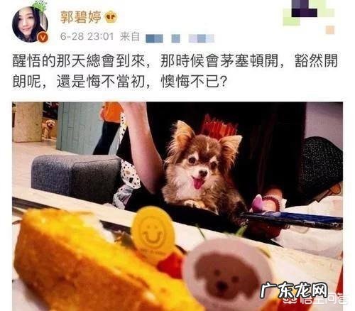 向氏儿媳郭碧婷深夜发文“醒悟的那天总会到来”，难道不幸福吗？