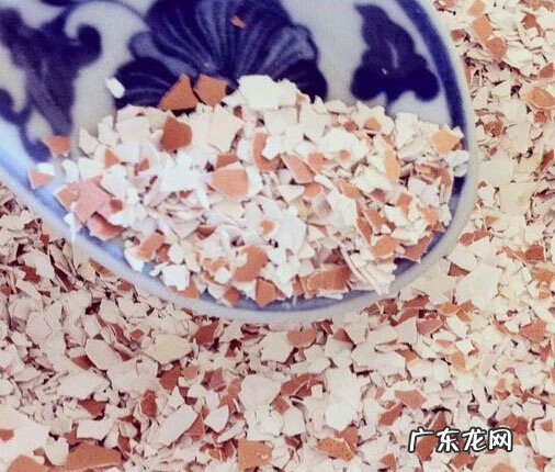 请问鸡蛋壳有什么用处 鸡蛋壳有什么用处呢