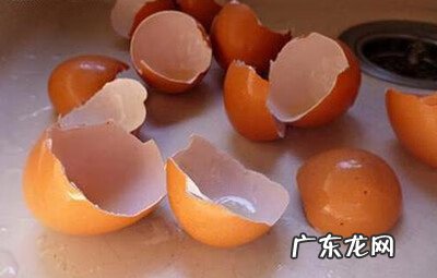 请问鸡蛋壳有什么用处 鸡蛋壳有什么用处呢