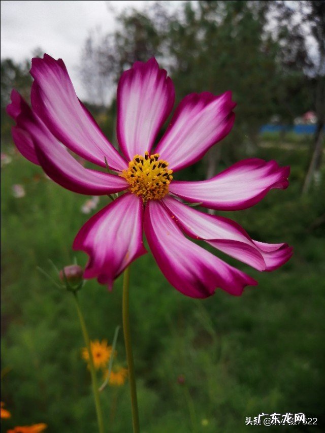 最好的闺蜜在我生日的时候送了一支假的香奈儿口红,该怎么办?