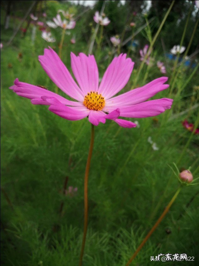 最好的闺蜜在我生日的时候送了一支假的香奈儿口红,该怎么办?