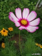 最好的闺蜜在我生日的时候送了一支假的香奈儿口红，该怎么办？