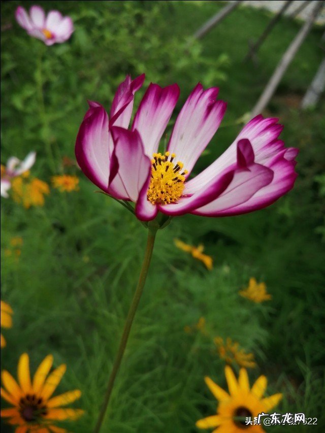 最好的闺蜜在我生日的时候送了一支假的香奈儿口红,该怎么办?