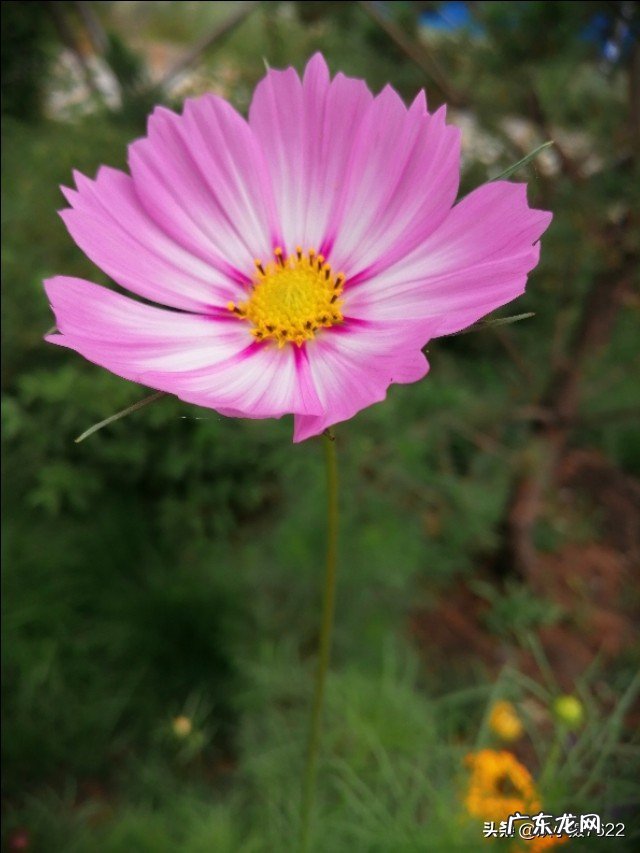 最好的闺蜜在我生日的时候送了一支假的香奈儿口红,该怎么办?