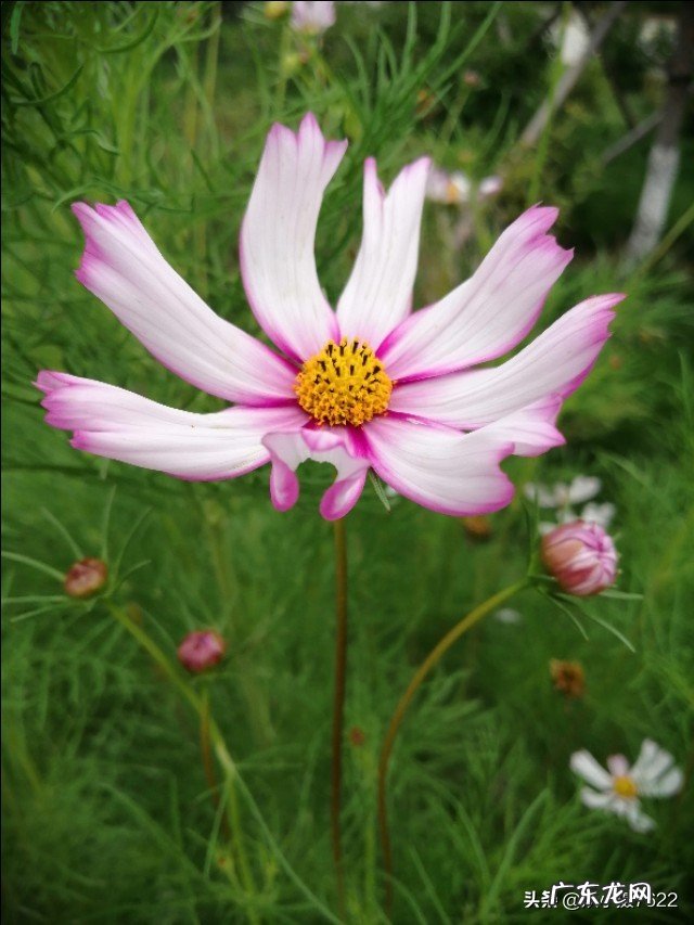 最好的闺蜜在我生日的时候送了一支假的香奈儿口红,该怎么办?