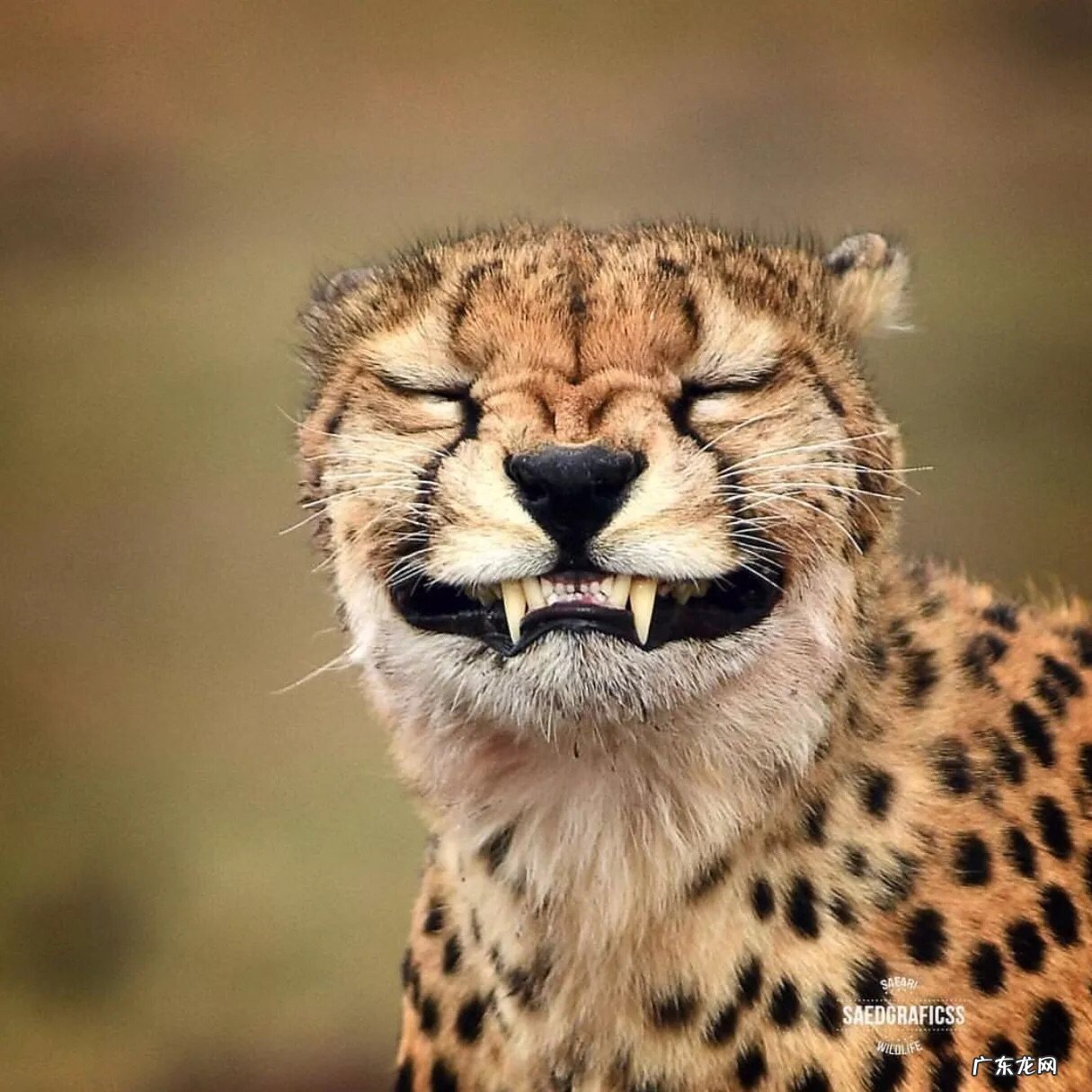 有什么好听的,节奏舒缓的,悲伤的钢琴曲或纯音乐?