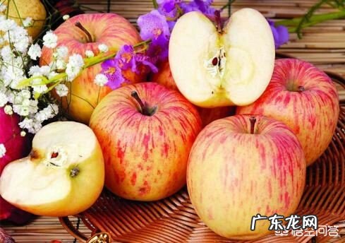 宝宝八个月大了,宝宝适合吃什么水果蔬菜?