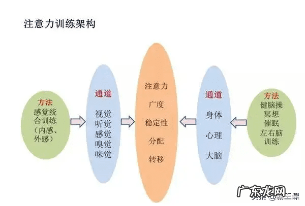 怎么样能集中注意力 如何让注意力集中