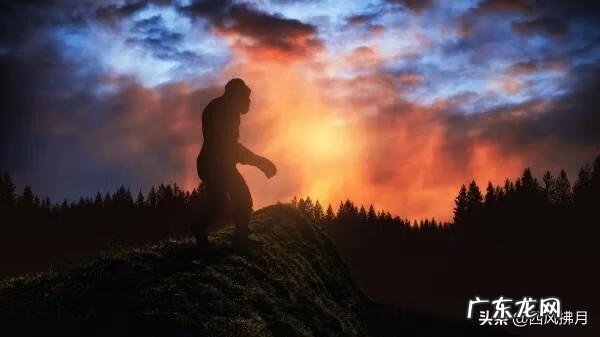 未知生物有哪些 未确认的生物