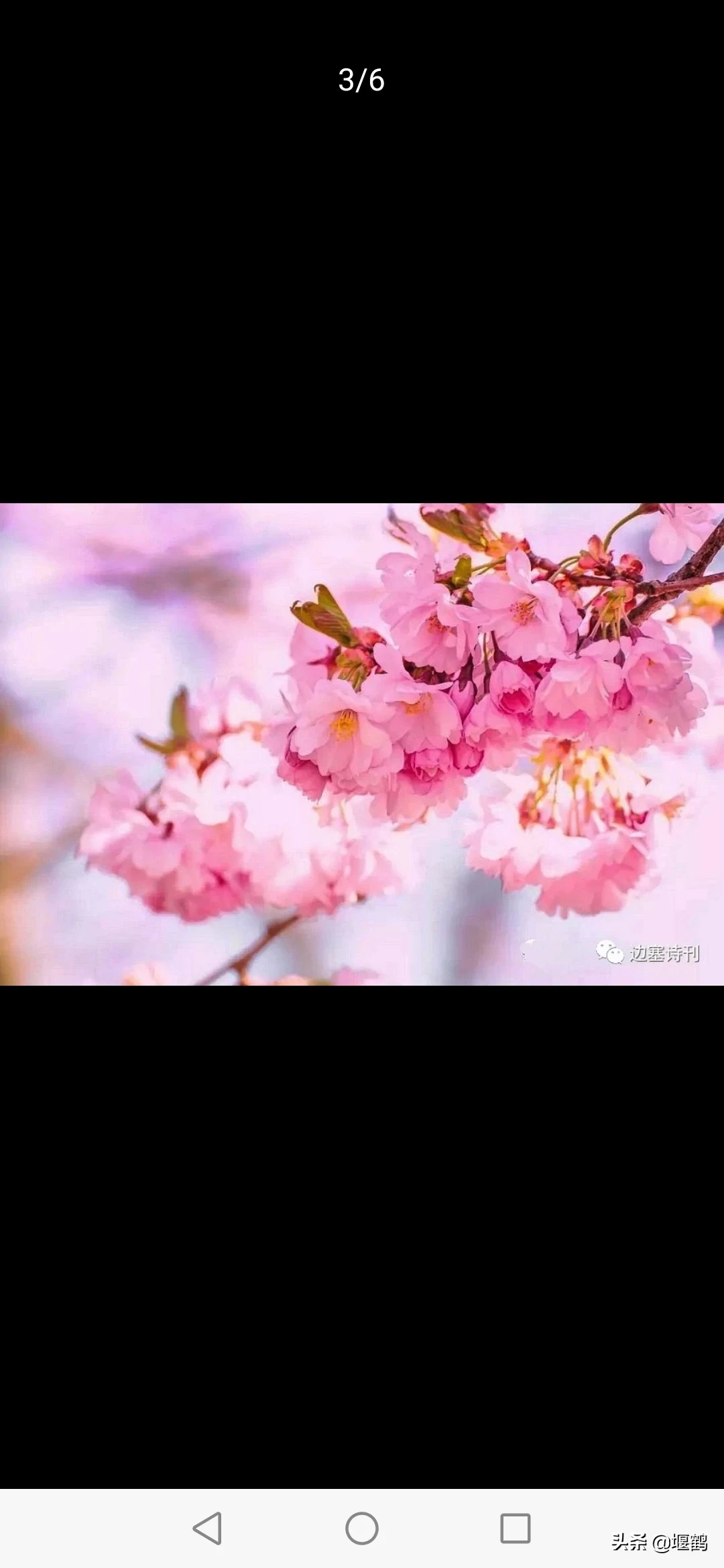 怎么看待俄罗斯这一次出动安124战略运输机救援美国?