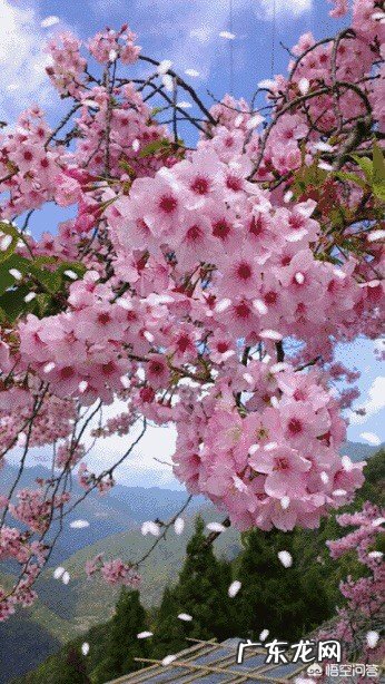 无锡有什么好玩的地方？