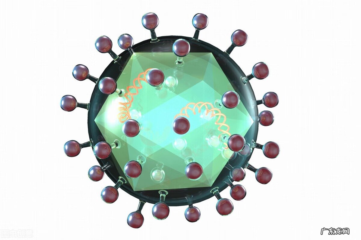 乙型肝炎主要症状是什么 乙型肝炎的症状