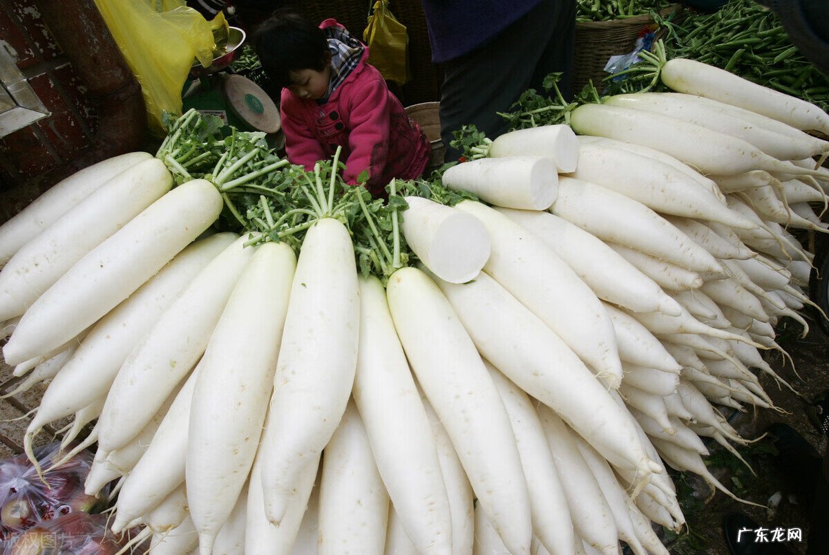 萝卜代表的风水 大白萝卜怎么样