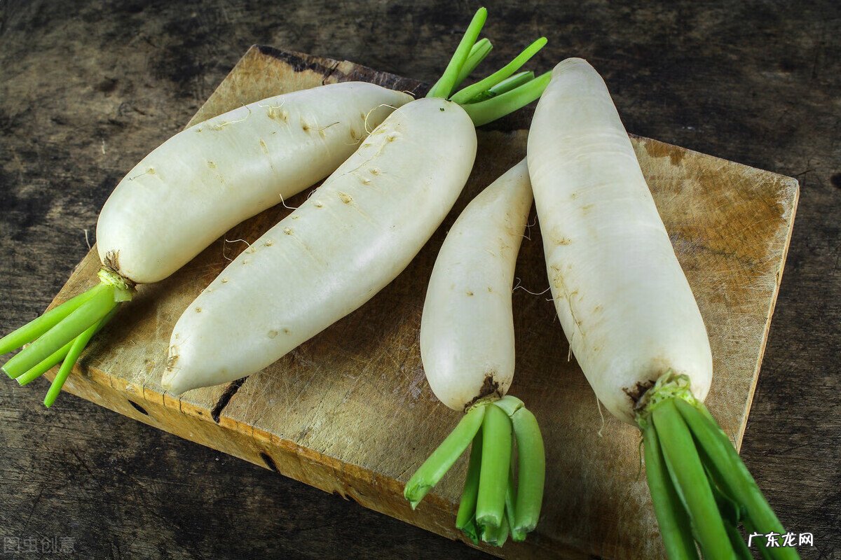 萝卜代表的风水 大白萝卜怎么样