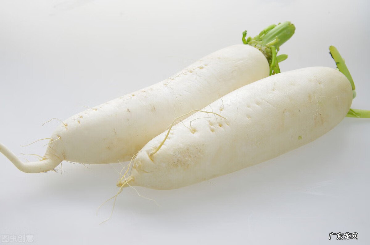 萝卜代表的风水 大白萝卜怎么样