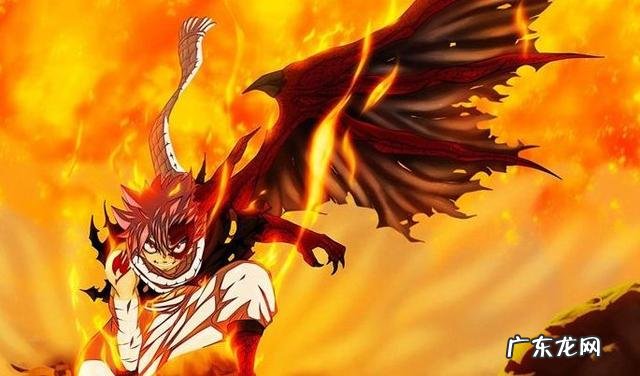 妖精公会的吞噬灭龙魔导士 影之灭龙魔导士