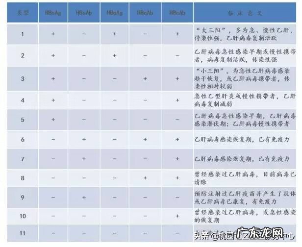 两对半检查结果数值参考 两对半检查结果分析