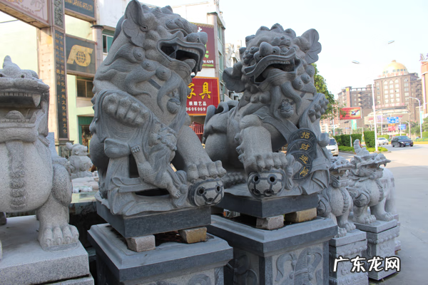 狮子在风水上起什么作用 狮子与大象一起的风水