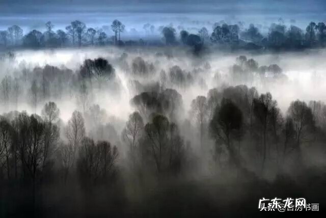 水墨彩画 中国风水墨画