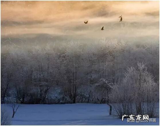 水墨彩画 中国风水墨画