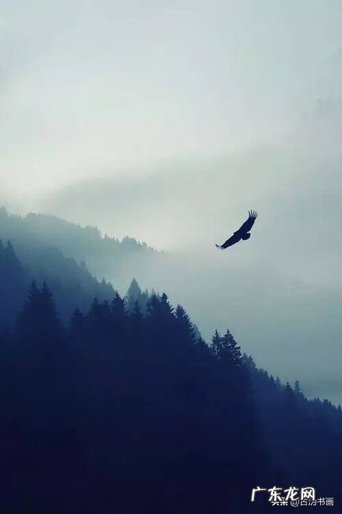 水墨彩画 中国风水墨画