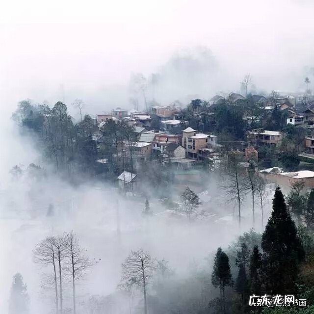 水墨彩画 中国风水墨画