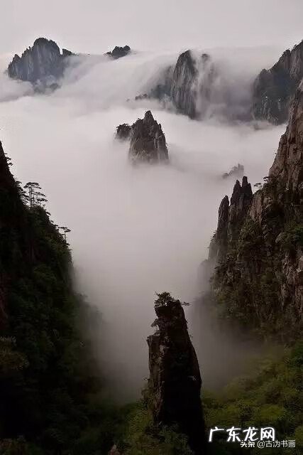 水墨彩画 中国风水墨画