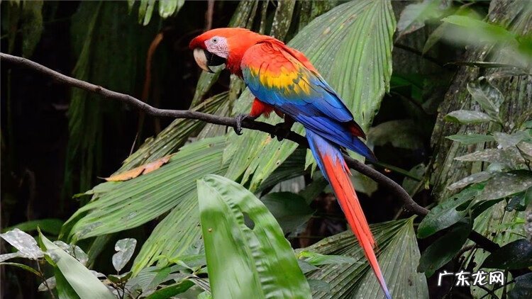 寄生虫病的预防 寄生虫的防治措施