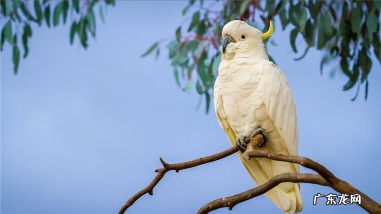 寄生虫病的预防 寄生虫的防治措施