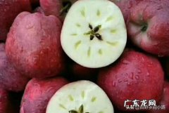 蛇果子 蛇果的功效与作用