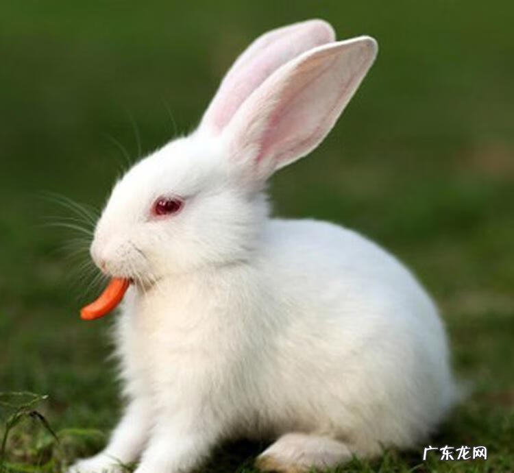 奇门遁甲能看风水吗 奇门遁甲有没有镜子对着床的风水