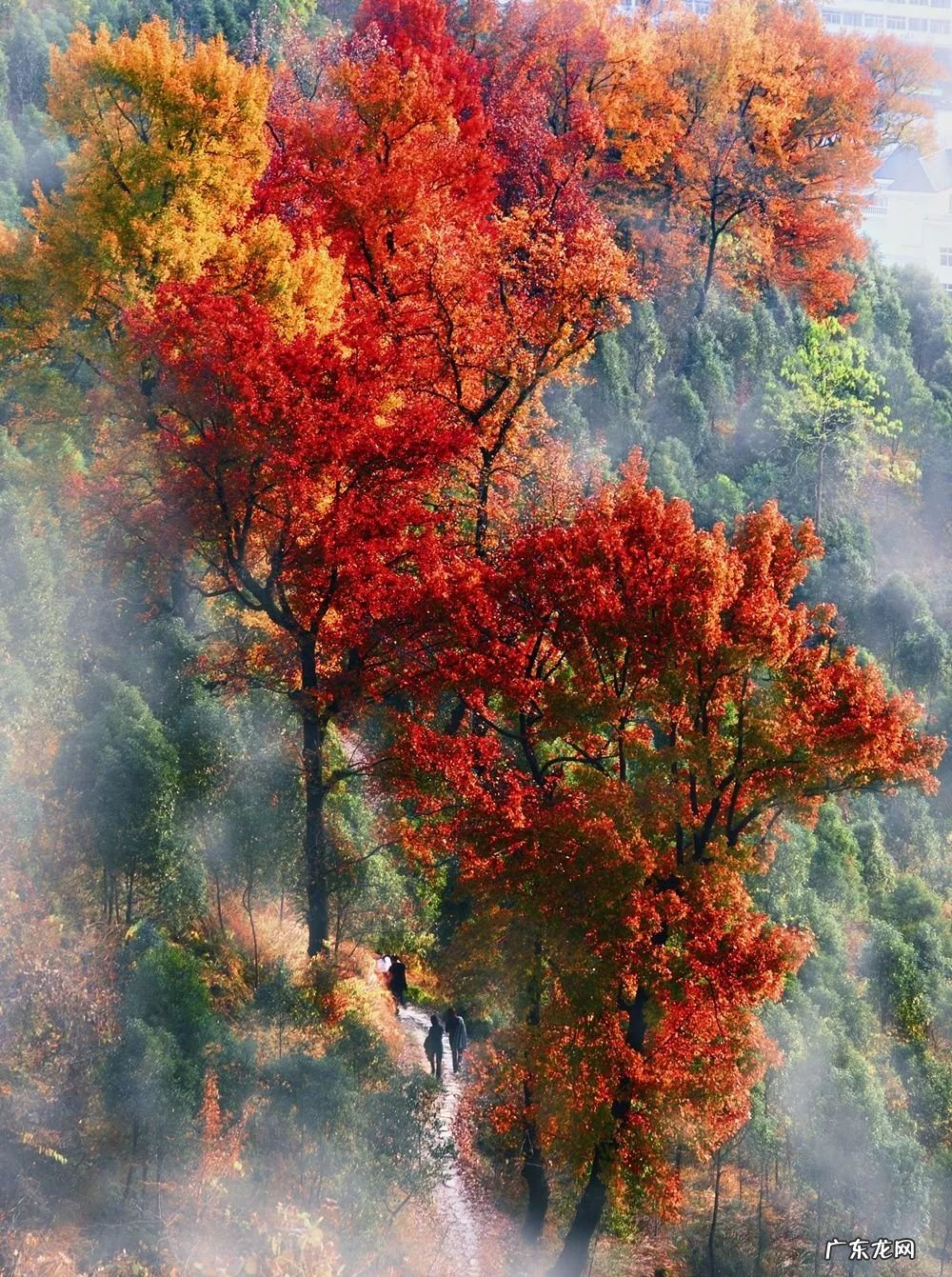 11月出游有哪些好地方 11月份去哪里旅游好玩