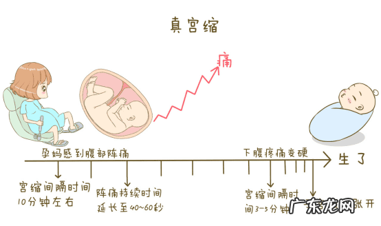 孕妇生产流程 怀孕分娩的过程