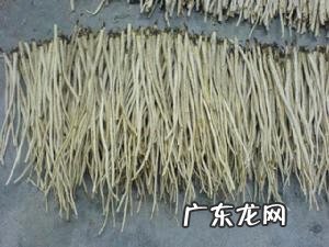 沙参的别名叫什么 沙参图片