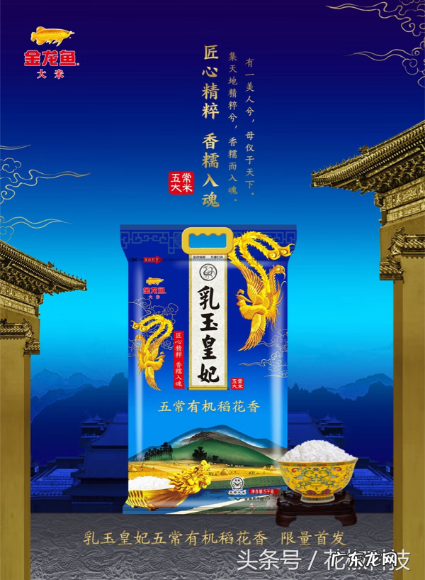 金龙鱼风水学说法 金龙鱼画像