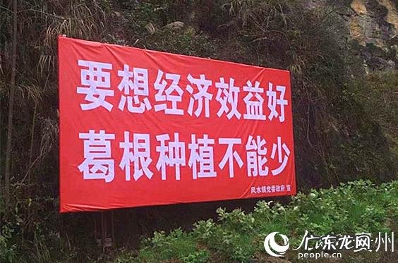 家里种什么风水好 风水田种什么最好呢