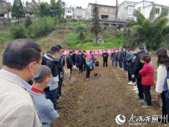 家里种什么风水好 风水田种什么最好呢
