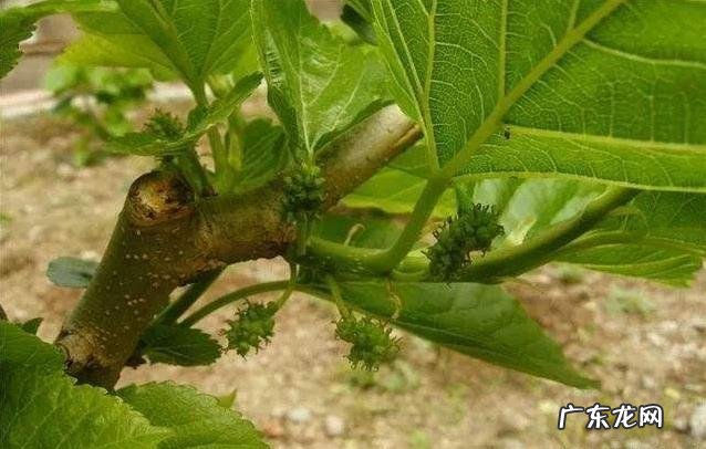 前有水后有水风水好吗 风水为什么风在前水在后