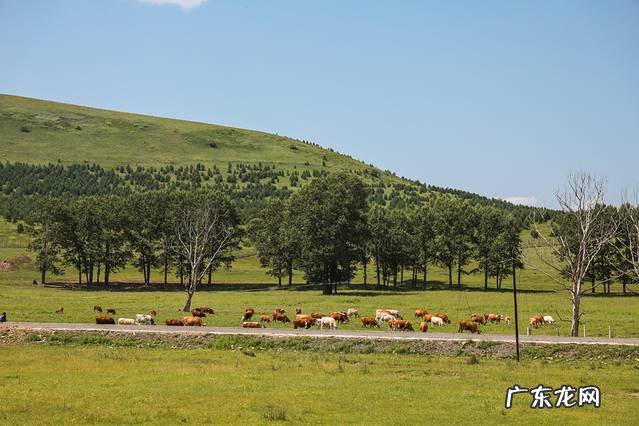 九林幺风水 锡林风水