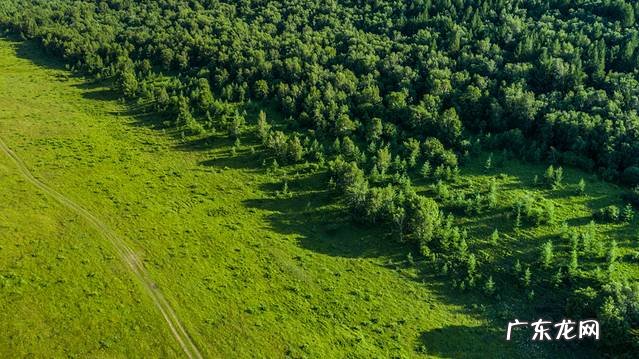九林幺风水 锡林风水